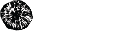 Matsutake Network Demos